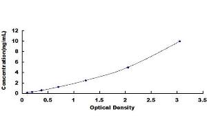 Typical standard curve (Cytokeratin 1 Kit ELISA)