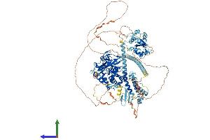 AlphaFold protein structure predicition of Human Recombinant USP8 Protein, UniprotID P40818