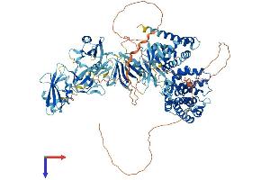 AlphaFold protein structure predicition of Human Recombinant RASA1 Protein, UniprotID P20936