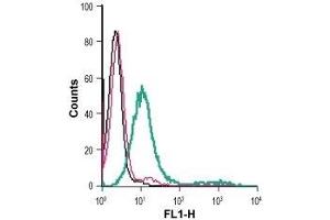 Cell surface detection of CRF1 in live intact mouse P815 mastocytoma cells: (black line) Cells.