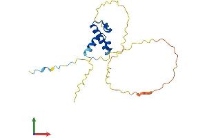 AlphaFold protein structure predicition of Human Recombinant SSX5 Protein, UniprotID O60225