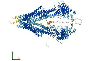 AlphaFold protein structure predicition of Mouse Recombinant Abcb1b Protein, UniprotID P06795