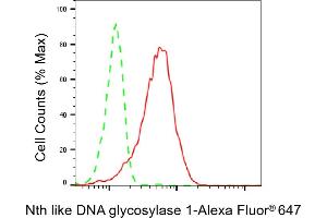 Flow cytometric analysis of Nth like DNA glycosylase 1 expression in HepG2 cells using Nth like DNA glycosylase 1 antibody (ABIN7799628), 1:2,000). (Recombinant Nth Endonuclease III-Like 1 (NTHL1) anticorps)