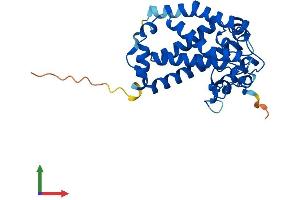 AlphaFold protein structure predicition of Human Recombinant CH25H Protein, UniprotID O95992