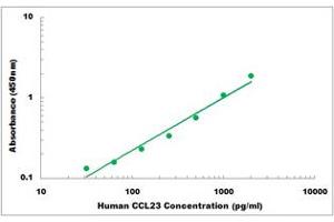 Representative Standard Curve (CCL23 Kit ELISA)