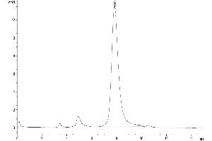 The purity of Biotinylated SARS RBD is greater than 95 % as determined by SEC-HPLC.