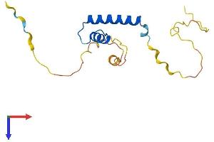 AlphaFold protein structure predicition of Human Recombinant ID4 Protein, UniprotID P47928