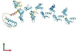 AlphaFold protein structure predicition of Human Recombinant ZNF607 Protein, UniprotID Q96SK3