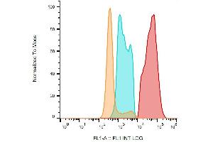 Flow cytometry detection of CD154 / CD40L in IgE-activated human peripheral blood with anti-CD154 / CD40L (24-31) FITC.