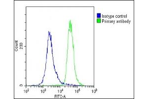 Overlay histogram showing U-2 OS cells stained with (ABIN654335 and ABIN2844108)(green line).
