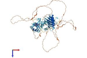 AlphaFold protein structure predicition of Human Recombinant HPS4 Protein, UniprotID Q9NQG7
