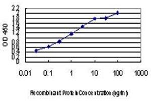Detection limit for recombinant GST tagged LLGL2 is approximately 0. (LLGL2 anticorps  (AA 101-199))