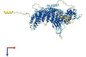 AlphaFold protein structure predicition of Human Recombinant INTS4 Protein, UniprotID Q96HW7