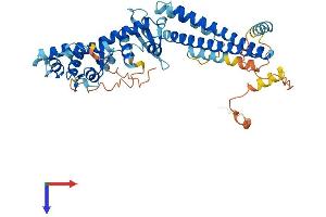 AlphaFold protein structure predicition of Human Recombinant CHMP7 Protein, UniprotID Q8WUX9