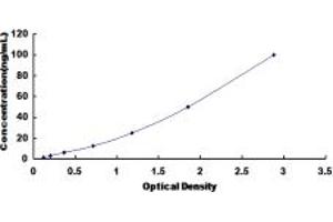 Typical standard curve (CTRB2 Kit ELISA)