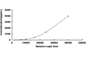 ELISA image for Renin (REN) CLIA Kit (ABIN492189)