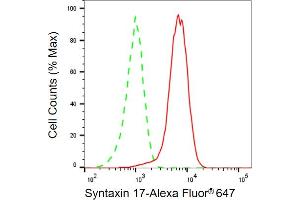 Flow cytometric analysis of Syntaxin 17 expression in HepG2 cells using Syntaxin 17 antibody (ABIN7800493), 1:2,000). (Syntaxin 17 anticorps)