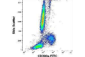 Flow cytometry surface staining pattern of human peripheral whole blood stained using anti-human CD300e (UP-H2) FITC antibody (4 μL reagent / 100 μL of peripheral whole blood). (CD300E anticorps  (FITC))
