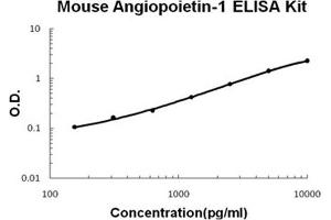 Mouse Angiopoietin-1 PicoKine ELISA Kit standard curve (Angiopoietin 1 Kit ELISA)