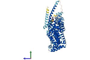 AlphaFold protein structure predicition of Human Recombinant TTC12 Protein, UniprotID Q9H892