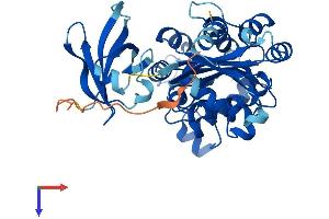 AlphaFold protein structure predicition of Mouse Recombinant Nme7 Protein, UniprotID Q9QXL8