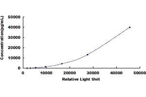 ELISA image for Resistin (RETN) CLIA Kit (ABIN492151)