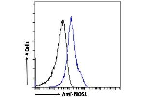 (ABIN184662) Flow cytometric analysis of paraformaldehyde fixed Kelly cells (blue line), permeabilized with 0.