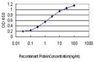 Detection limit for recombinant GST tagged EPOR is approximately 0. (EPOR anticorps  (AA 31-130))