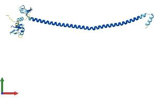 AlphaFold protein structure predicition of Human Recombinant TRIM74 Protein, UniprotID Q86UV6