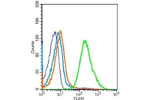 Mouse splenocytes probed with TLR1 Polyclonal Antibody, Unconjugated  at 1:100 for 30 minutes followed by incubation with a conjugated secondary (PE Conjugated) (green) for 30 minutes compared to control cells (blue), secondary only (light blue) and isotype control (orange).