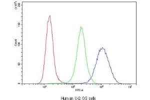 Flow cytometry testing of human U-2 OS cells with Glutathione Reductase antibody at 1ug/10^6 cells (blocked with goat sera) (Glutathione Reductase anticorps)