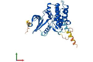 AlphaFold protein structure predicition of Human Recombinant TSSK4 Protein, UniprotID Q6SA08