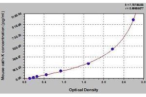 Typical standard curve (Cathepsin K Kit ELISA)