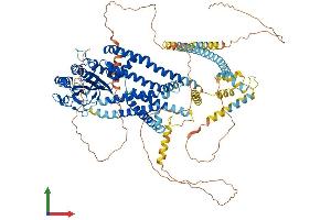 AlphaFold protein structure predicition of Human Recombinant PKD2 Protein, UniprotID Q13563