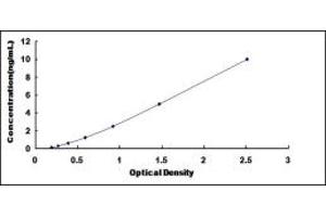 SRY (Sex Determining Region Y)-Box 2 (SOX2) ELISA Kit