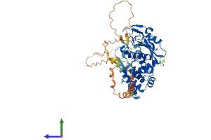 AlphaFold protein structure predicition of Human Recombinant AMZ1 Protein, UniprotID Q400G9