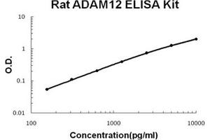 Rat ADAM12 PicoKine ELISA Kit standard curve (ADAM12 Kit ELISA)