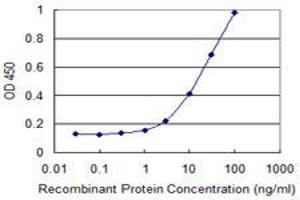 Detection limit for recombinant GST tagged CXCL16 is 1 ng/ml as a capture antibody.