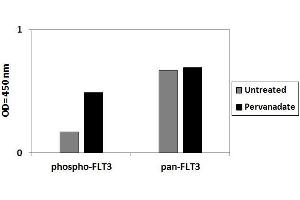 A431 cells were treated or untreated with Pervanadate. (FLT3 Kit ELISA)