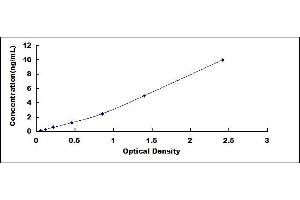 Typical standard curve