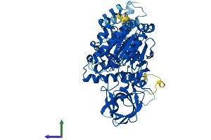 AlphaFold protein structure predicition of Human Recombinant POLE2 Protein, UniprotID P56282