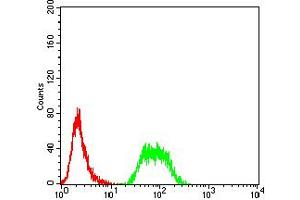 Flow cytometric analysis of SMMC-7721 cells using NAA10 mouse mAb (green) and negative control (red).
