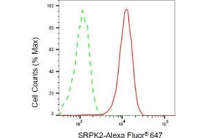 Flow cytometric analysis of SRPK2 expression in HepG2 cells using SRPK2 antibody (ABIN7800327), 1:2,000). (SRPK2 anticorps)