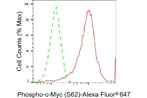 Flow cytometric analysis of Phospho-c-Myc (S62) expression in HeLa cells using Phospho-c-Myc (S62) antibody (ABIN7799503), 1:2,000).