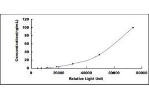 ELISA image for Collagen, Type IV (COL4) CLIA Kit (ABIN4947462)