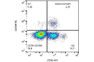Surface staining of human peripheral blood with anti-CD158f (UP-R1) PE.
