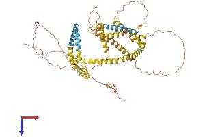 AlphaFold protein structure predicition of Mouse Recombinant Plin1 Protein, UniprotID Q8CGN5