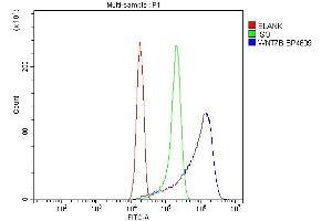 Flow Cytometry analysis of THP-1 cells using anti-WNT7B antibody (ABIN7600704).