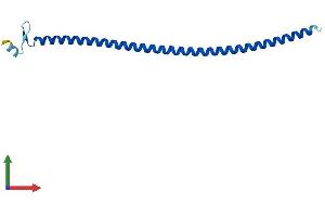 AlphaFold protein structure predicition of Mouse Recombinant Ift20 Protein, UniprotID Q61025