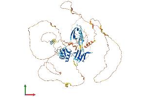 AlphaFold protein structure predicition of Mouse Recombinant Dvl2 Protein, UniprotID Q60838